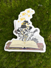 Load image into Gallery viewer, Wizard raccoon sticker