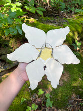 Load image into Gallery viewer, Mourning Star