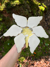 Load image into Gallery viewer, Mourning Star