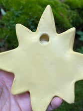 Load image into Gallery viewer, Mourning Star
