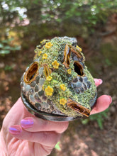 Load image into Gallery viewer, 19